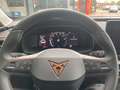 CUPRA Formentor 1.5TSI Kessy, ACC, CarPlay Weiß - thumbnail 11
