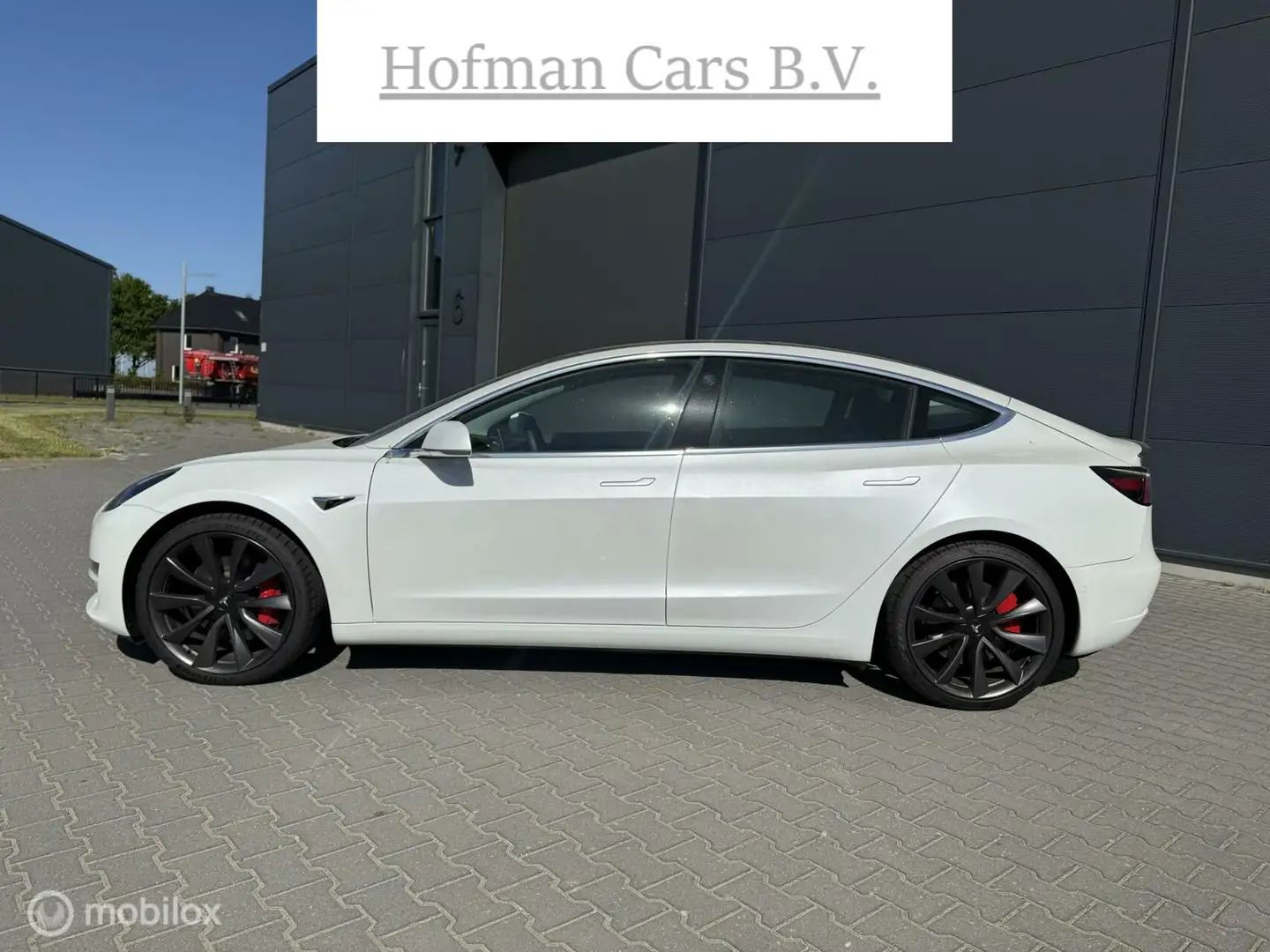 Tesla Model 3 Performance AWD Dual Motor 75 kWh Pearl White Incl Weiß - 2