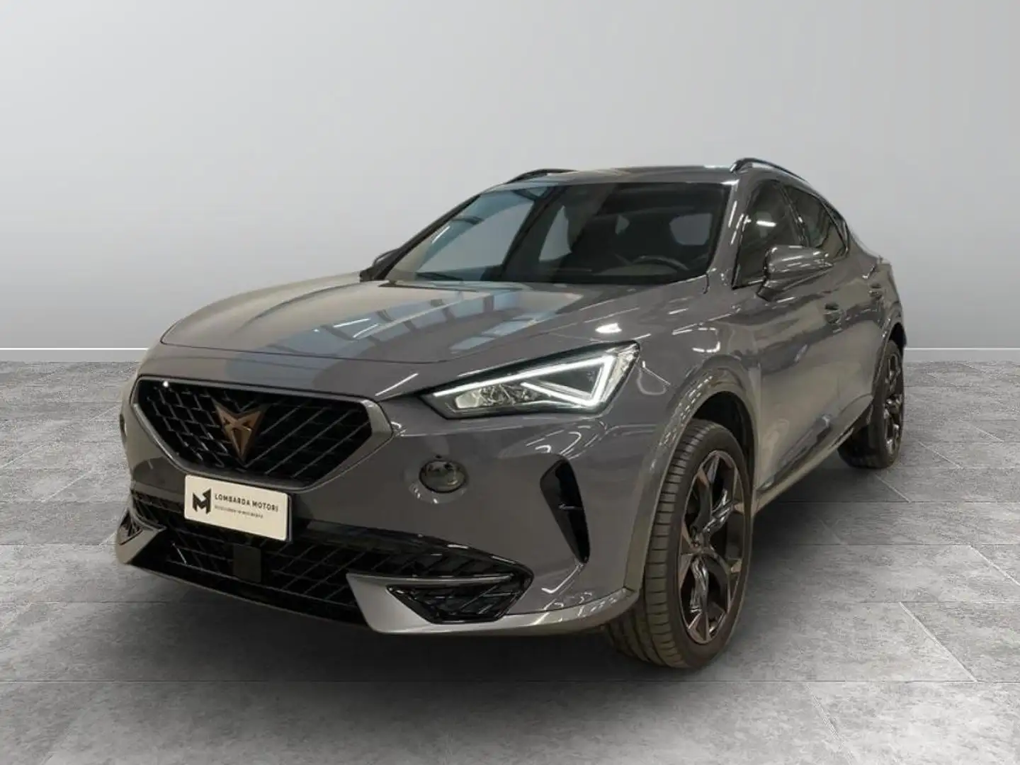 CUPRA Formentor 1.5 tsi dsg Grigio - 1