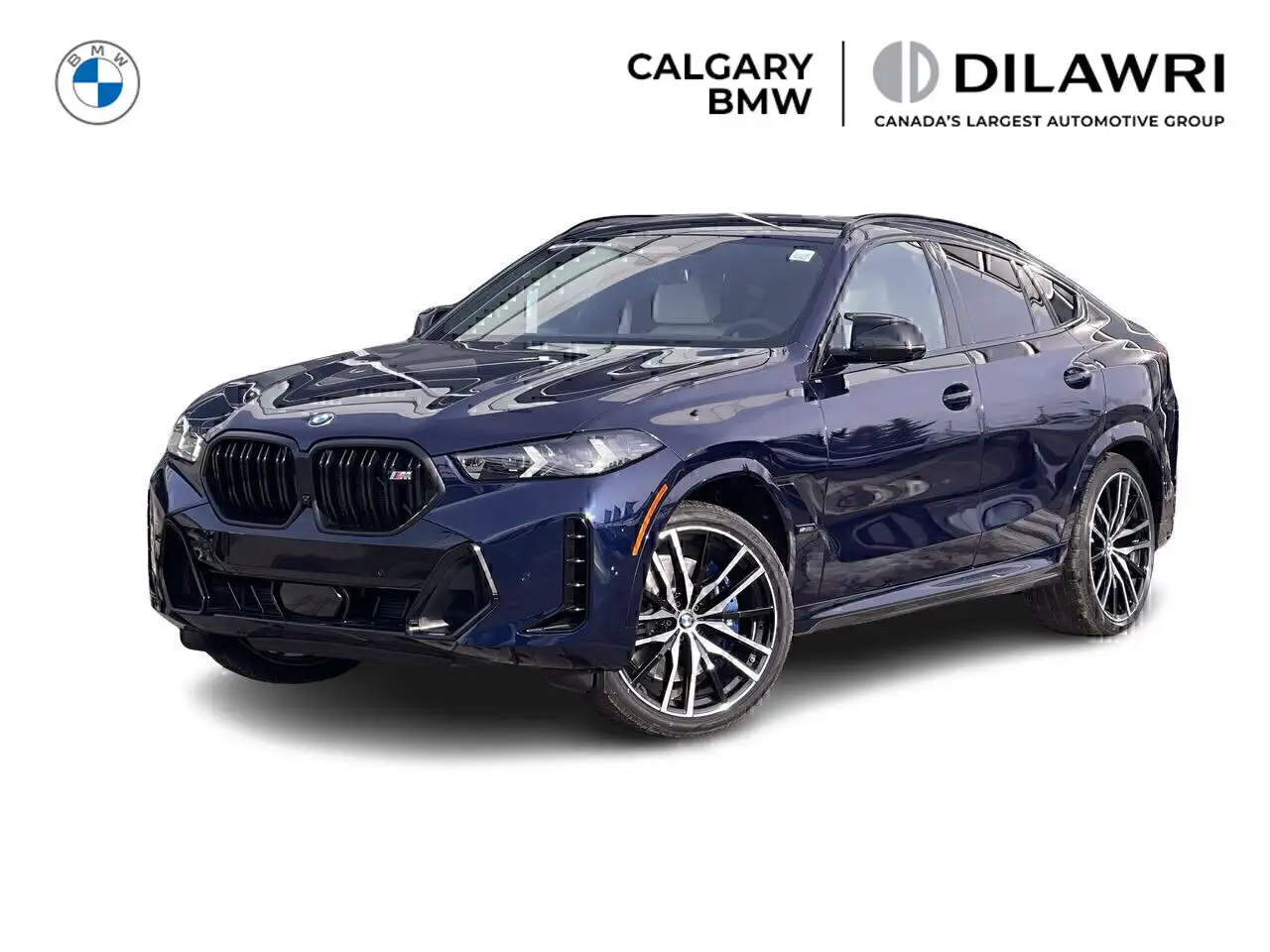 2026 BMW X6
