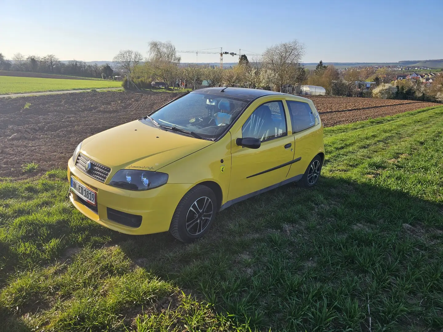 Fiat Punto 1.2 8V Trofeo Yellow - 2