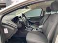 Ford Focus 1.6 EcoBoost Titanium 150 Pk - Airco ecc - Cruise Gris - thumbnail 7
