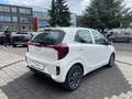 Kia Picanto PE2 1.2 MT VISION Weiß - thumbnail 3