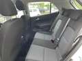 Kia Picanto PE2 1.2 MT VISION Weiß - thumbnail 6