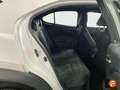 Lexus UX 250h 2.0 Business 4WD Blanco - thumbnail 28