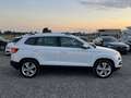 Skoda Karoq 1,6 TDI Style Limited DSG Aut.*TOP-AUSSTATTUNG* Weiß - thumbnail 6