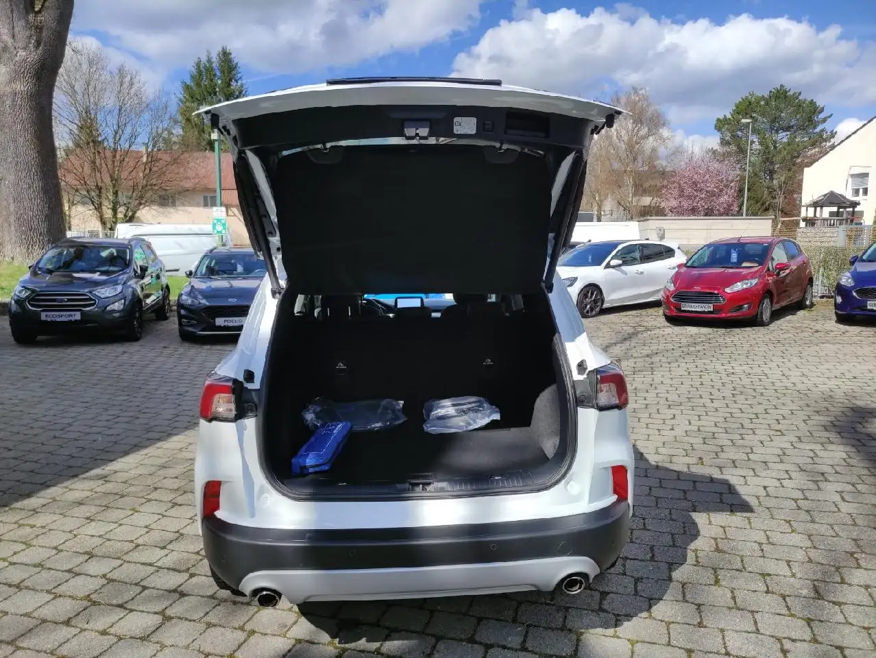 Ford Kuga Plug-In Hybrid Titanium X, миниатюра 8