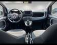 Fiat Panda III 2021 1.0 firefly hybrid s&s 70cv 5p.ti Bianco - thumbnail 9