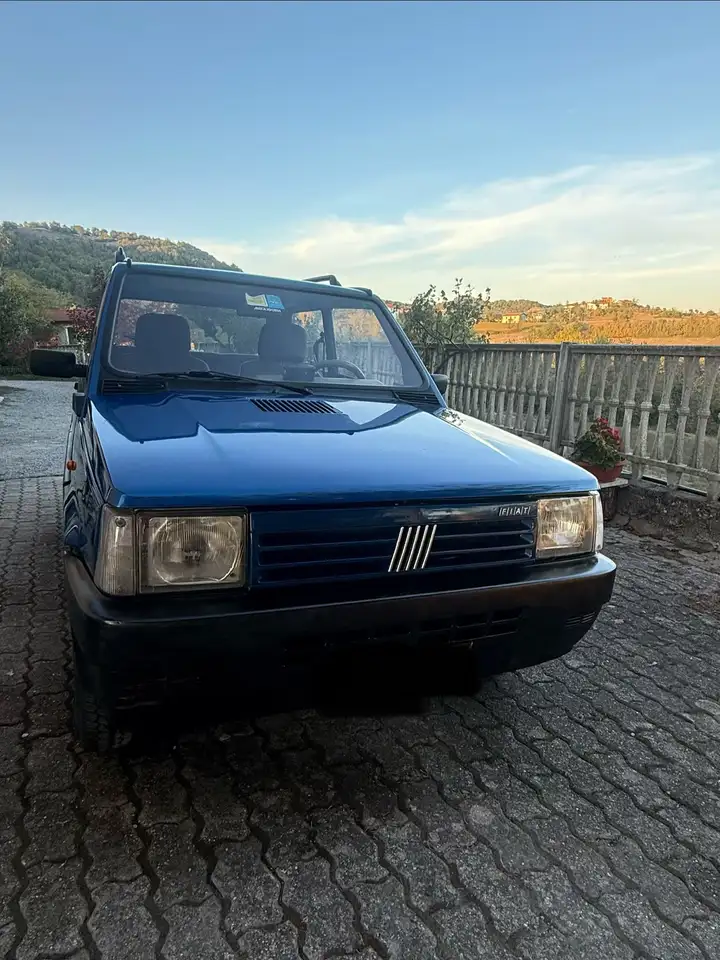 Fiat Panda I 19861.1 Country Club 4x4, foto 5