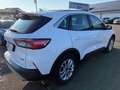 Ford Kuga Plug-In Hybrid Titanium+Navi+ACC+AHK+RFK Weiß - thumbnail 6