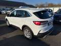 Ford Kuga Plug-In Hybrid Titanium+Navi+ACC+AHK+RFK Weiß - thumbnail 5