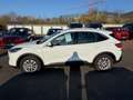 Ford Kuga Plug-In Hybrid Titanium+Navi+ACC+AHK+RFK Weiß - thumbnail 3
