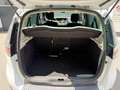 Renault Scenic *PICKERL NEU* Blanc - thumbnail 7