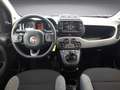 Fiat Panda 1.0 City Life Mild Hybrid Klima Navi HUAU neu GA Gris - thumbnail 13