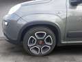 Fiat Panda 1.0 City Life Mild Hybrid Klima Navi HUAU neu GA Gris - thumbnail 20