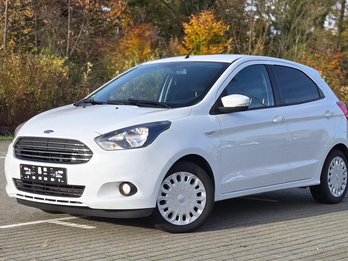 Ford Ka/Ka+ 1.2 Ti-VCT Withe 1 HAND ZAHNRIEMEN NEU Alb - 2