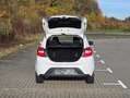 Ford Ka/Ka+ 1.2 Ti-VCT Withe 1 HAND ZAHNRIEMEN NEU Alb - thumbnail 11