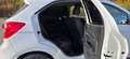 Ford Ka/Ka+ 1.2 Ti-VCT Withe 1 HAND ZAHNRIEMEN NEU Alb - thumbnail 6