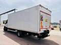 Iveco Daily Daily 60C17H 4750 QUAD-TOR RG CON SPONDA IDRAULICA Bianco - thumbnail 11