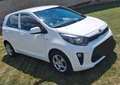 Kia Picanto Picanto 1.0Edition 7 Weiß - thumbnail 3