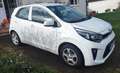 Kia Picanto Picanto 1.0Edition 7 Weiß - thumbnail 1