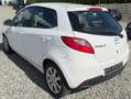 Mazda 2 1.3 Independence (5-trg.)(63kW) Weiß - thumbnail 7