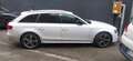 Audi A4 allroad A4 Allroad quattro 3.0 V6 tdi 245cv s-tronic Bianco - thumbnail 3