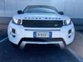 Land Rover Range Rover Evoque Range Rover Evoque I 2011 5p 2.2 sd4 Dynamic 190cv - thumbnail 2