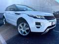 Land Rover Range Rover Evoque Range Rover Evoque I 2011 5p 2.2 sd4 Dynamic 190cv - thumbnail 1