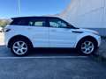 Land Rover Range Rover Evoque Range Rover Evoque I 2011 5p 2.2 sd4 Dynamic 190cv - thumbnail 6