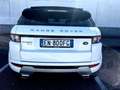 Land Rover Range Rover Evoque Range Rover Evoque I 2011 5p 2.2 sd4 Dynamic 190cv - thumbnail 8