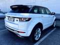 Land Rover Range Rover Evoque Range Rover Evoque I 2011 5p 2.2 sd4 Dynamic 190cv - thumbnail 7