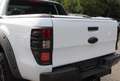 Ford Ranger Ranger Raptor 2.0 tdci double cab 213cv auto Weiß - thumbnail 7