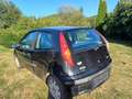 Fiat Punto Punto 1,2 GO Schwarz - thumbnail 3