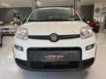 Fiat Panda 1.0 firefly hybrid Sport s&s 70cv 5p.ti Blanc - thumbnail 2