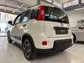 Fiat Panda 1.0 firefly hybrid Sport s&s 70cv 5p.ti Blanc - thumbnail 20