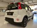 Fiat Panda 1.0 firefly hybrid Sport s&s 70cv 5p.ti Blanc - thumbnail 18