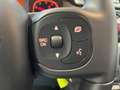 Fiat Panda 1.0 firefly hybrid Sport s&s 70cv 5p.ti Blanc - thumbnail 11