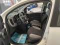 Fiat Panda 1.0 firefly hybrid Sport s&s 70cv 5p.ti Blanc - thumbnail 7