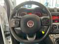 Fiat Panda 1.0 firefly hybrid Sport s&s 70cv 5p.ti Blanc - thumbnail 8