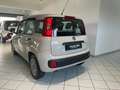 Fiat Panda Panda 1.2 Easy Beige - thumbnail 9