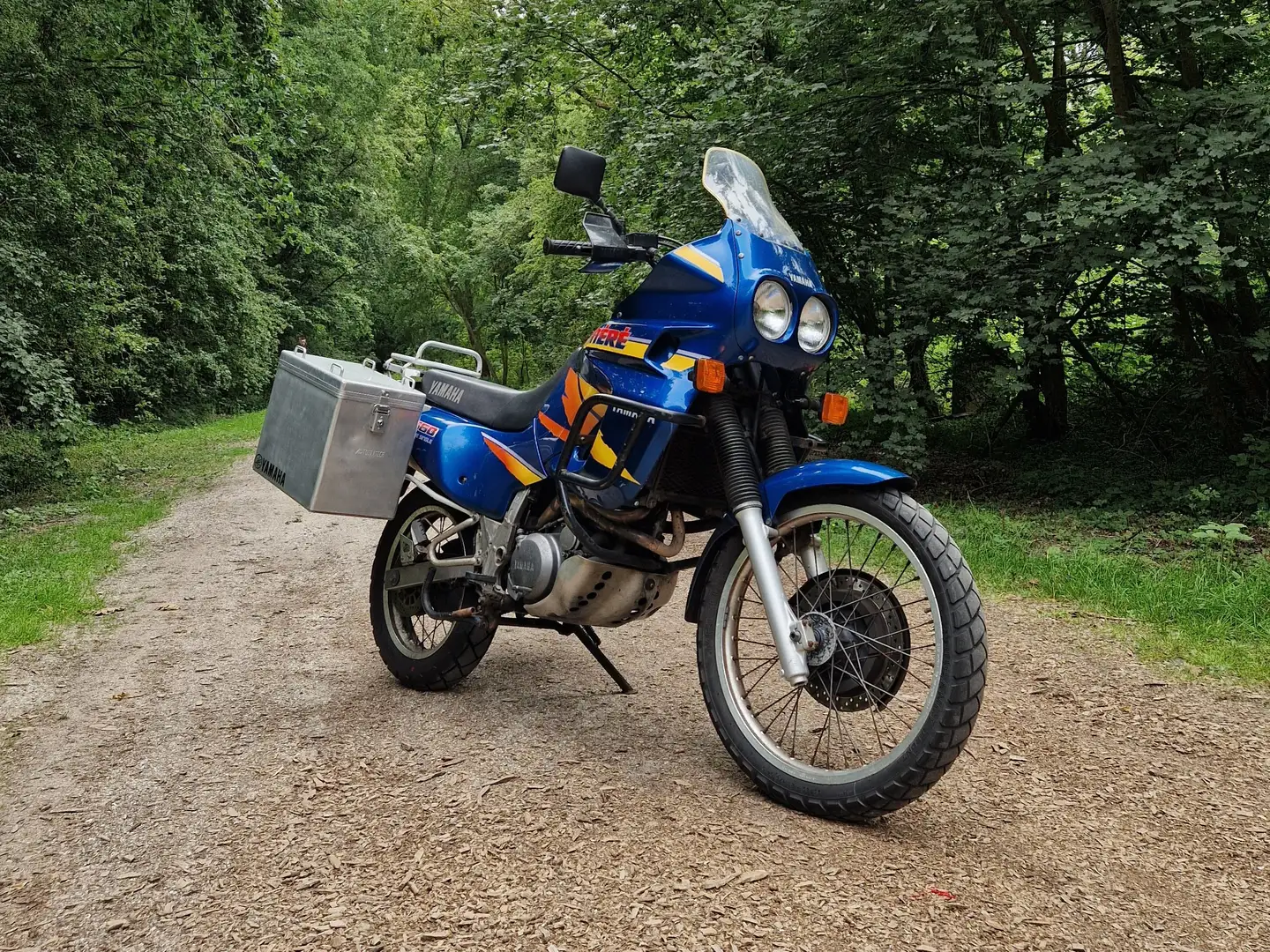 Yamaha XTZ 660 Ténéré Albastru - 1