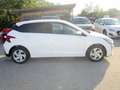Hyundai i20 (BC3) Smart Line 1.0 T-GDI -PP7 Weiß - thumbnail 2