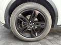 Land Rover Range Rover Evoque 2.2 D 4x4 150 CV Weiß - thumbnail 18