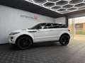 Land Rover Range Rover Evoque 2.2 D 4x4 150 CV Weiß - thumbnail 8