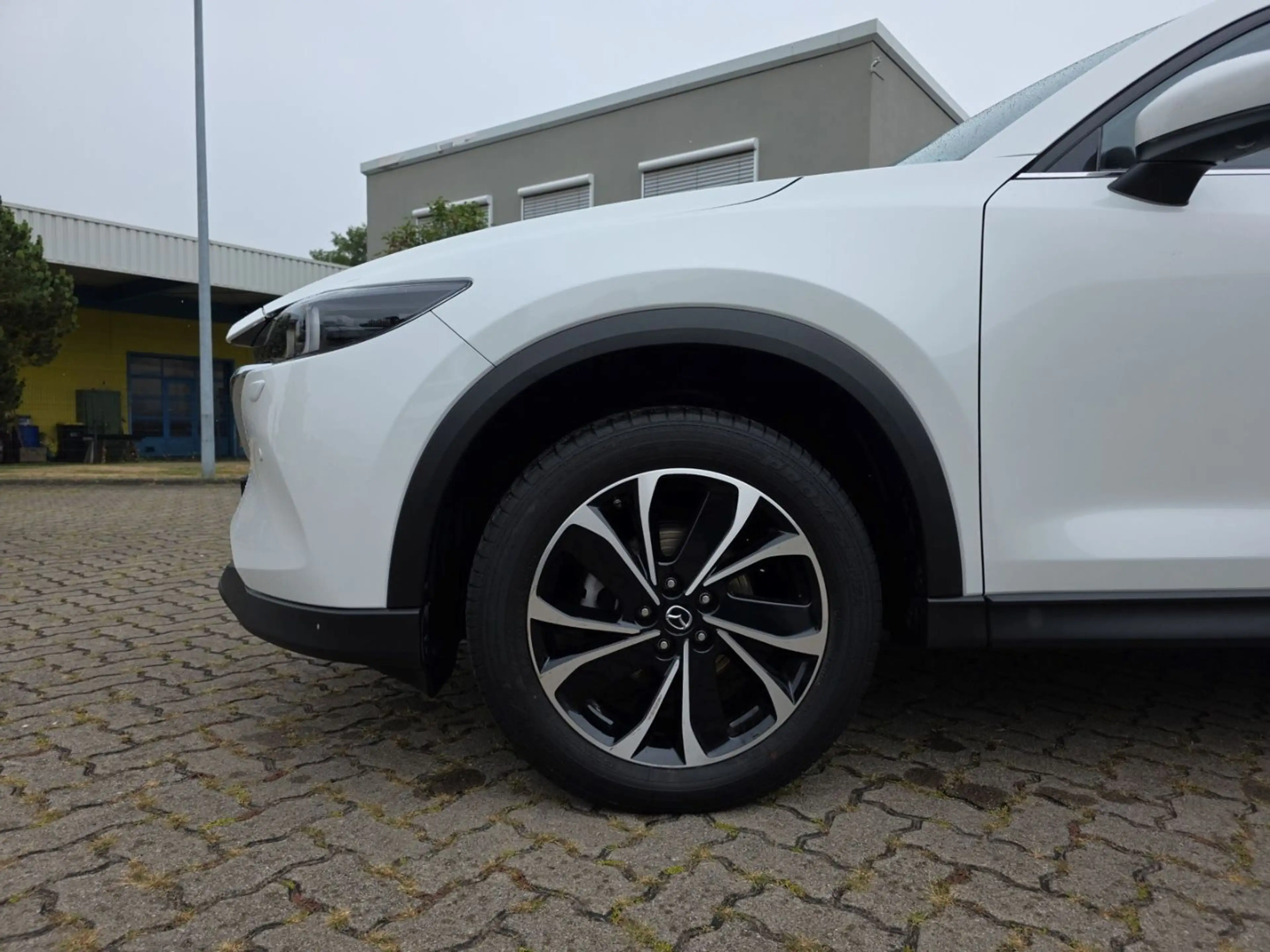 Mazda CX-5 2.5 e-SKYACTIV Exclusive Line 2WD Automatik — photo 6