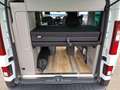Nissan Primastar Camper Seaside by Dethleffs 6MT 170PS Weiß - thumbnail 24