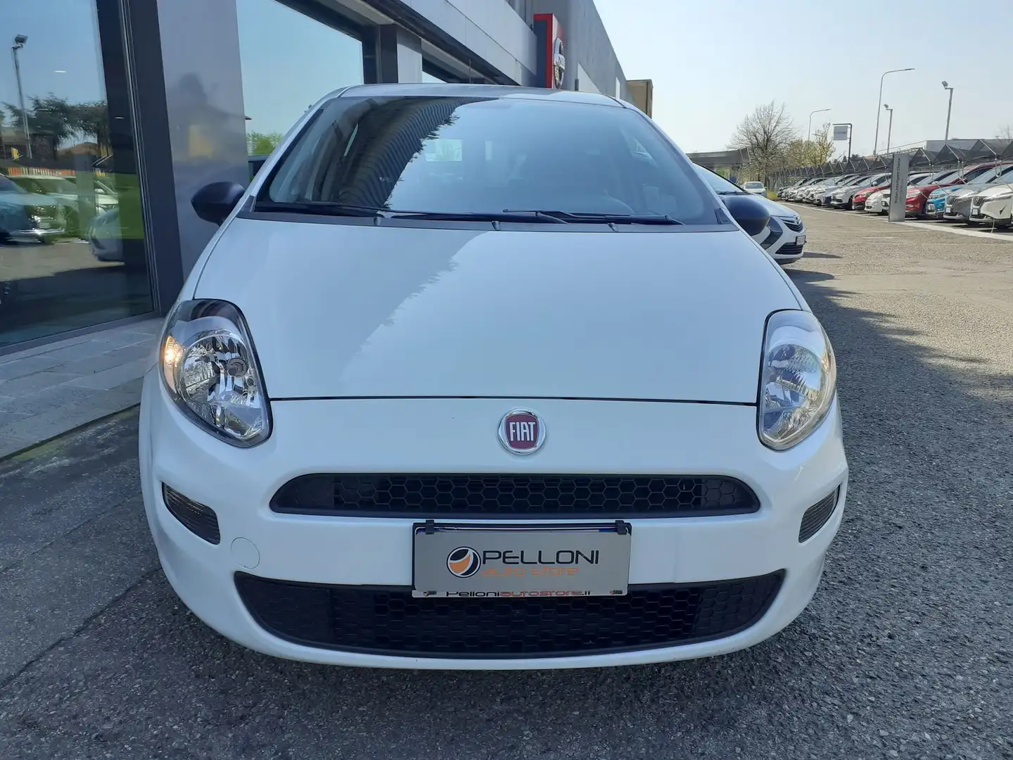 Fiat Punto 1.4 8V 5P - GARANZIA - KM CERTIFICATI Weiß - 2