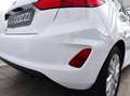 Ford Fiesta 7ª serie - Fiesta 1.1 75 CV 5 porte Titanium Wit - thumbnail 7