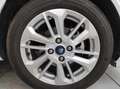 Ford Fiesta 7ª serie - Fiesta 1.1 75 CV 5 porte Titanium Wit - thumbnail 4